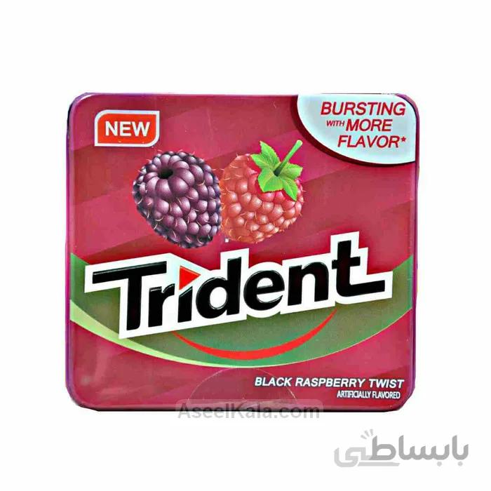 آدامس تریدنت Trident قوطی فلزی با طعم تمشک تکی و بسته 12 عددی
