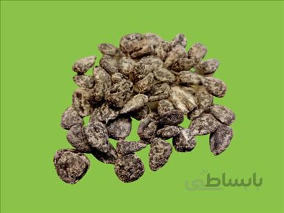 تخمه طلاب 1کیلو