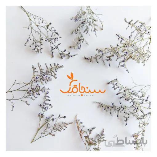 گل افشان(۵شاخه)