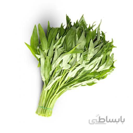 بذر اسفناج آبی تایلندی بسته 15 عددی