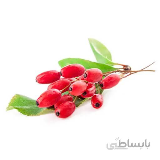 بذر زرشک