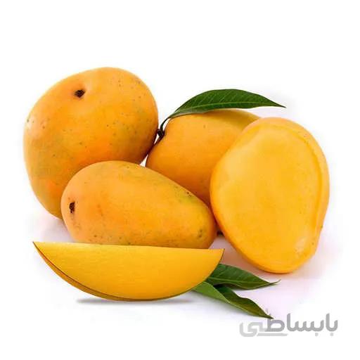 بذر درخت انبه
