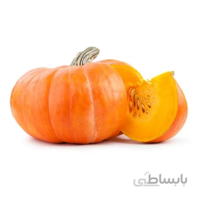 بذر کدو هالووین بسته ۵ عددی