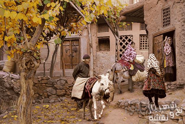 فروش آنلاین نخ و نقشه بافت تابلو فرش طرح روستای ابیانه کد j-386