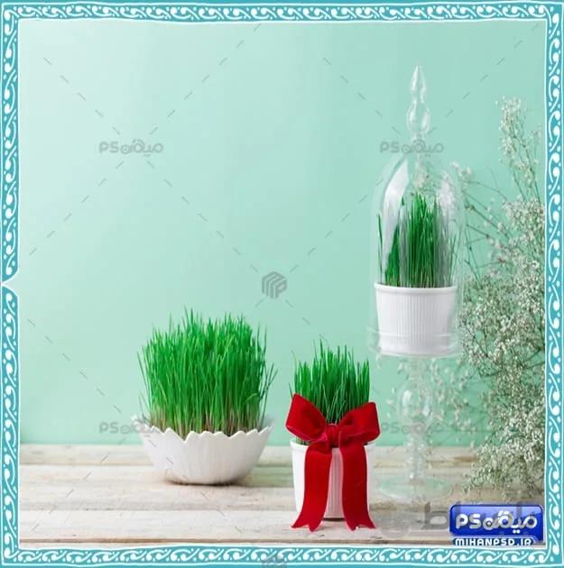 بک گراند سبزه سال نو