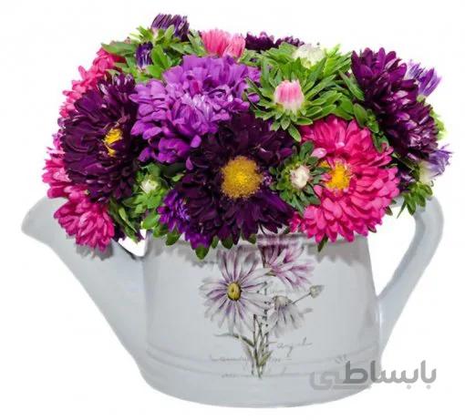 بذر گل مینا پاکوتاه گلدانی رنگارنگ ایتالیایی بسته 50 عددی