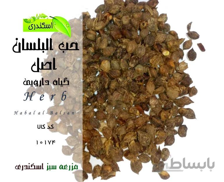 گیاه حب البلسان اصل