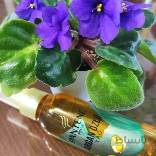 روغن آرگان Pantene اصل 100ml، ساخت آلمان