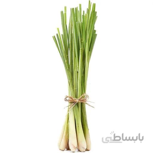 بذر علف لیمو