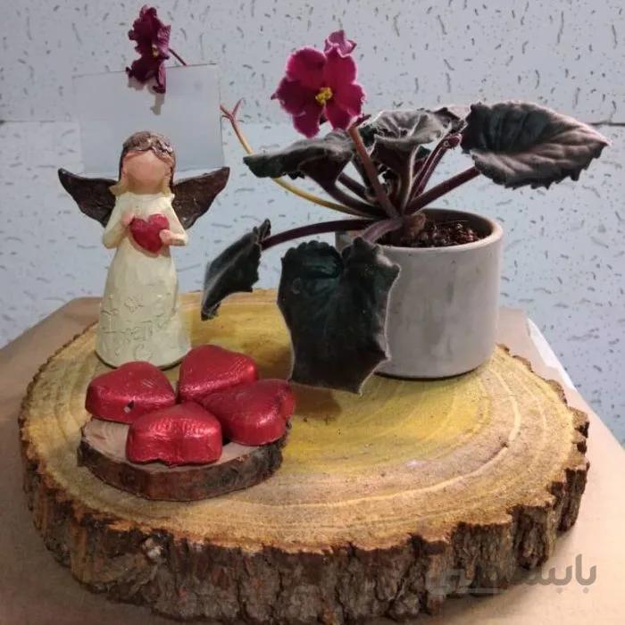 پکیج شماره ۱۸