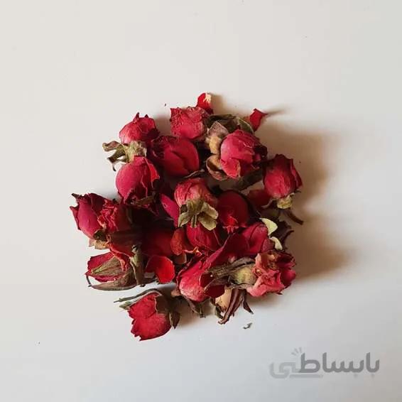 غنچه مینیاتوری سرخ