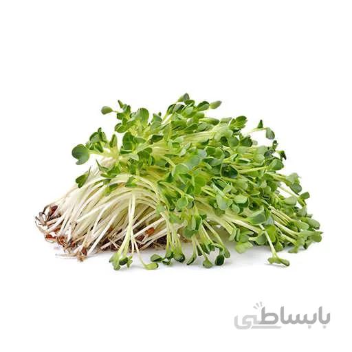 بذر یونجه فله ای