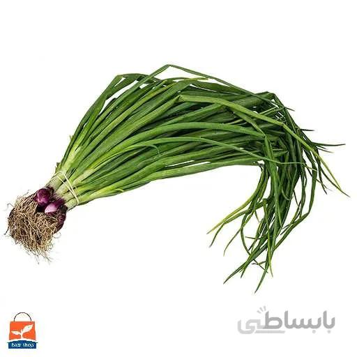 بذر تره شادهگان