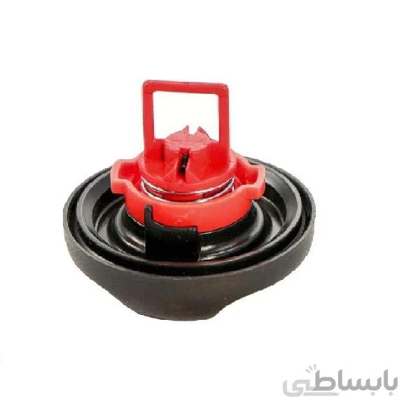 درب باک داخلی ساندرو