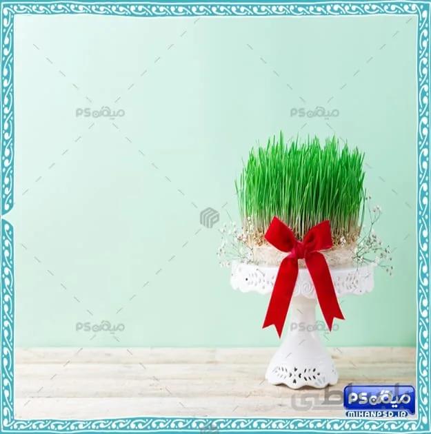 بک گراند سبزه سال نو