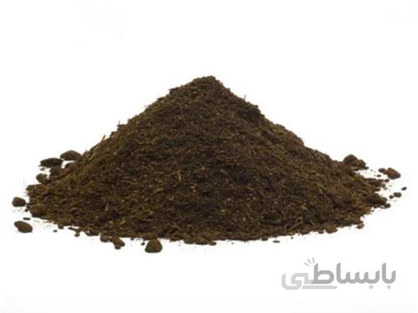 پیت ماس