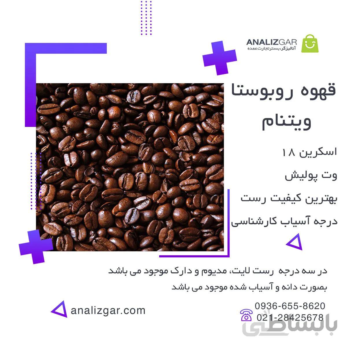 خرید قهوه روبوستا ویتنام اسکرین ۱۸ وت پولیش ا vietnam robusta coffee
