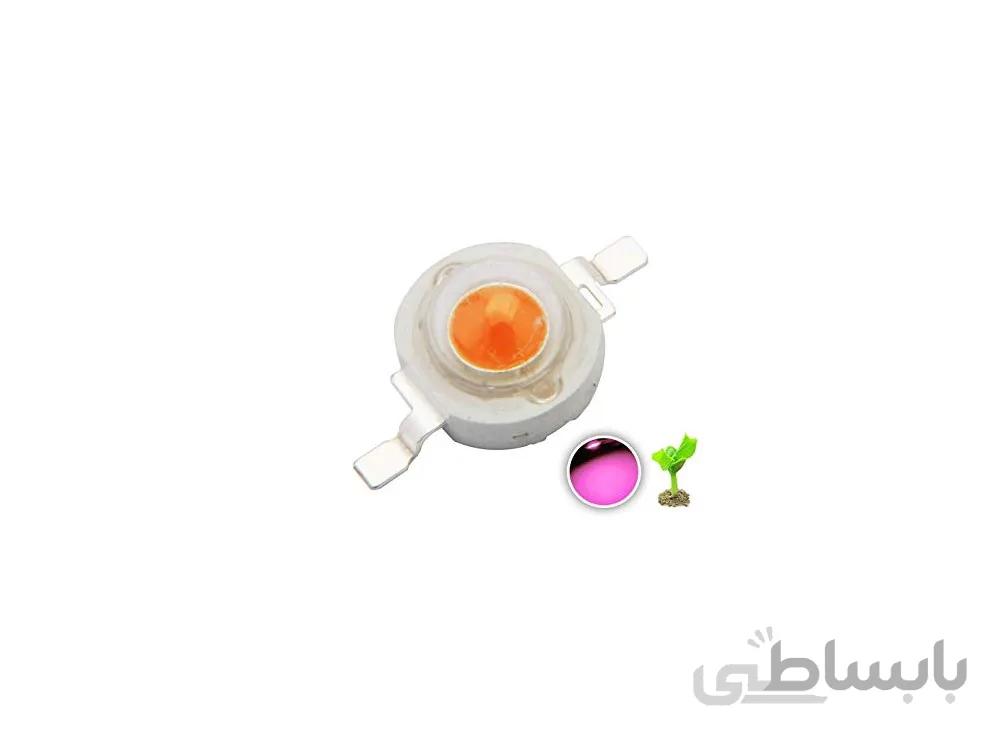 LED پاور 1W مخصوص رشد گیاه بسته 5 عددی