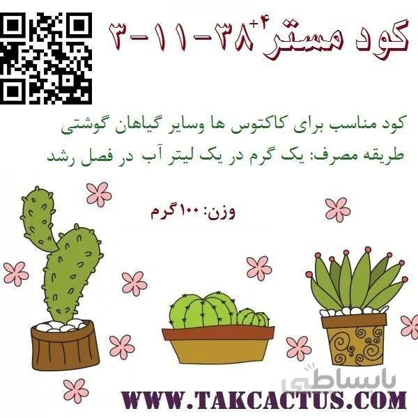 كود مستر ۳۸ ۱۱ ۳