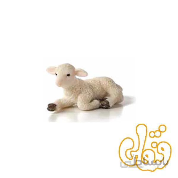 بره نشسته Lamb Lying Down 387099
