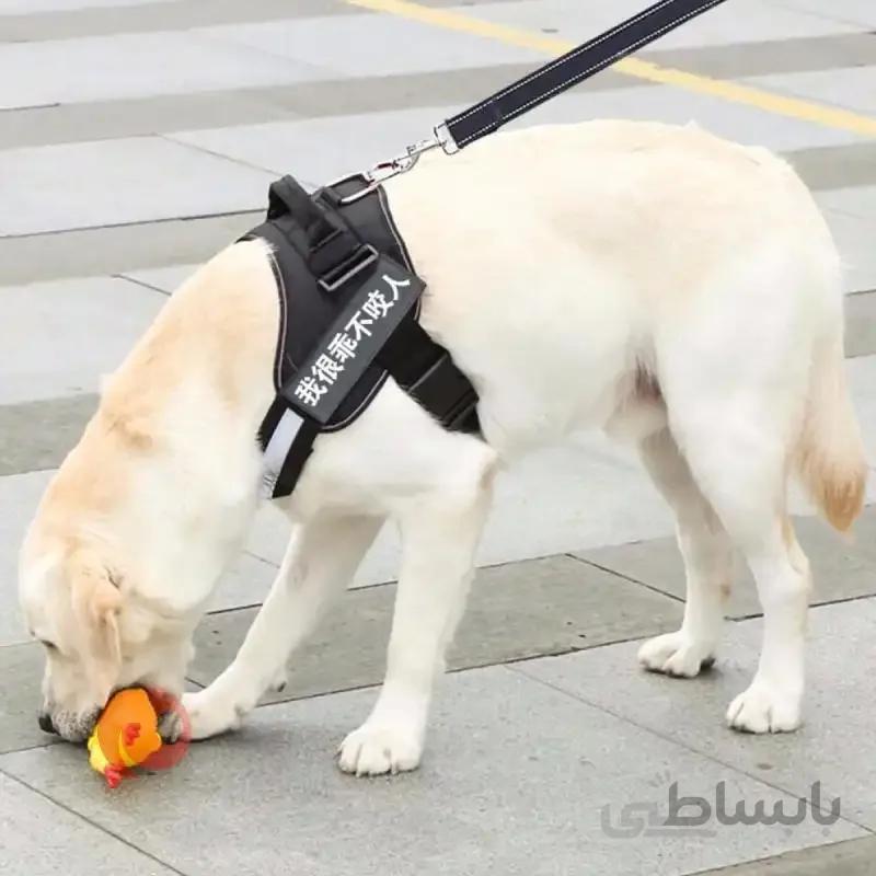 قلاده سگ Deep کد 037