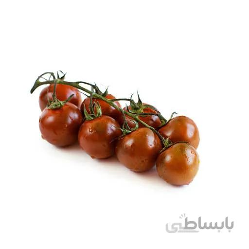 بذر گوجه گیلاسی سیاه