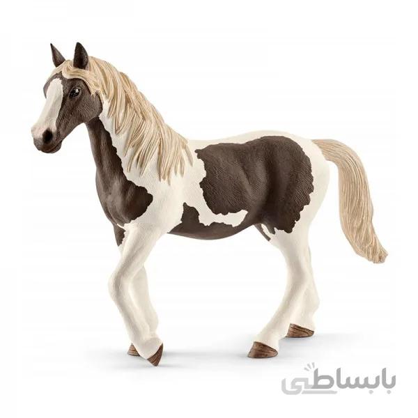 اسب پینتو اشلایش 13830