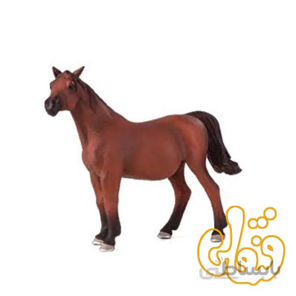 اسب مادیان عربی Arabian Mare In Foal 387194