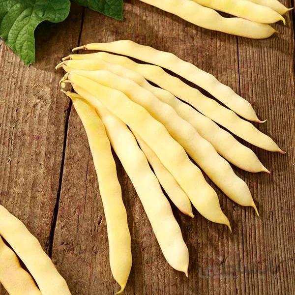 بذر لوبیا زرد فرانسوی ( اورجینال )