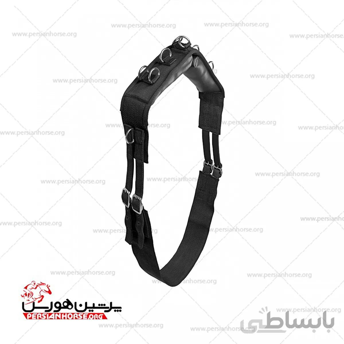 تنگ لنژ برزنتی