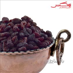 زغال آخته