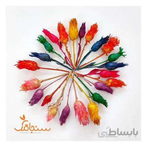 غنچه تلخه(بسته ۲۰ تایی)