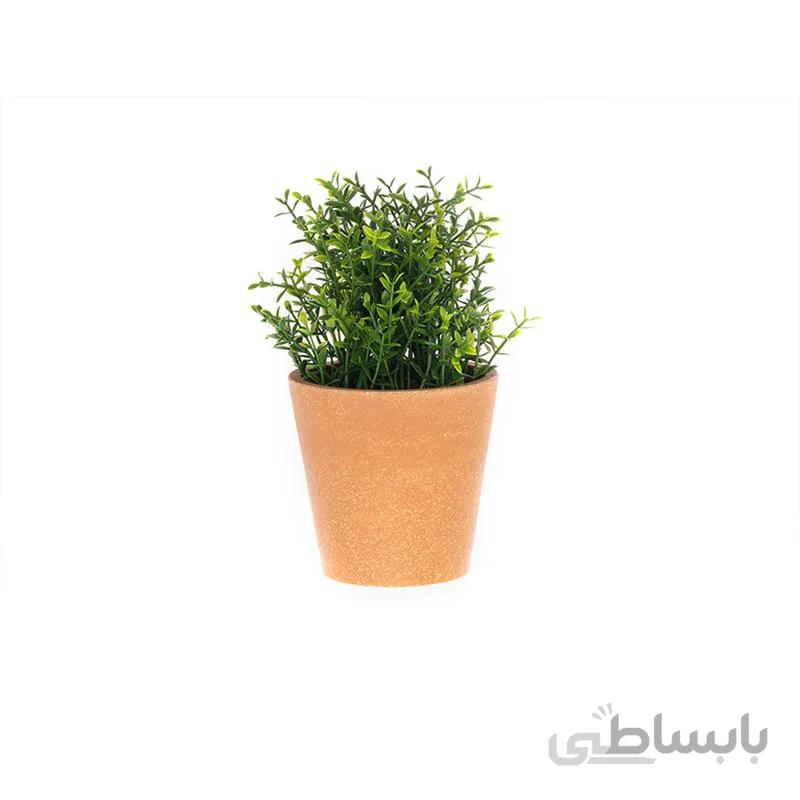 گل وگلدان مدل Vitaline مادام کوکو
