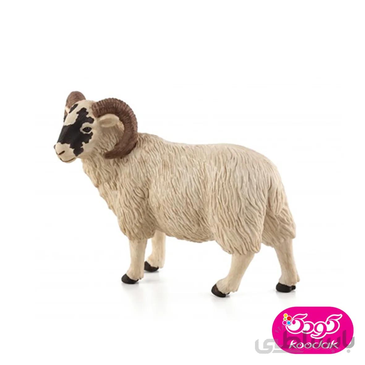 گوسفند نر صورت سیاه 387081 – حیوانات موجو