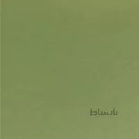 مقوا پاستل تیزیانو فابریانو 160g ایتالیا 100x70cm رنگ Verduzzo (11) -1114