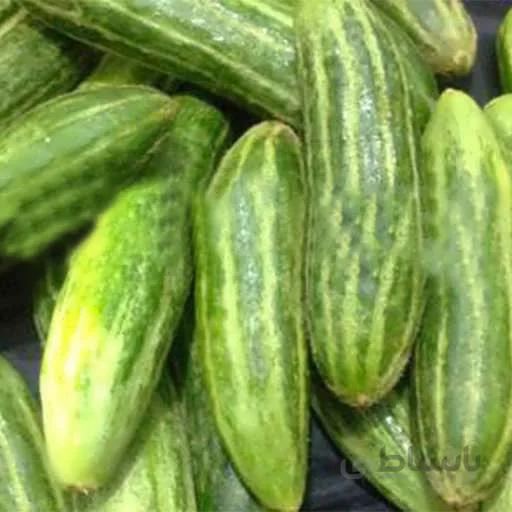 بذر خیار کرک دار