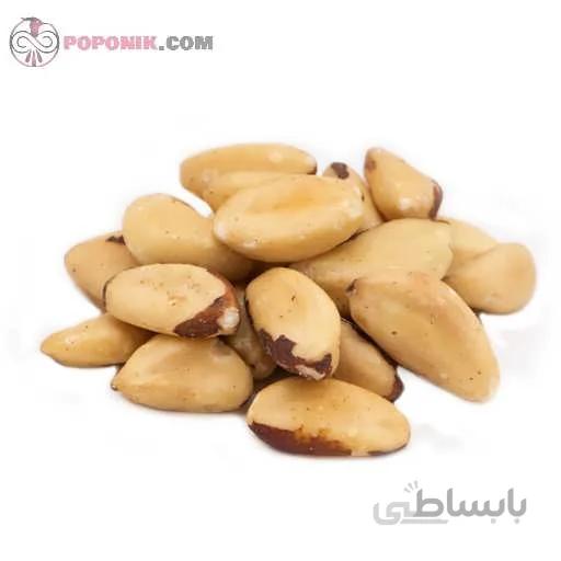 بادام برزیلی