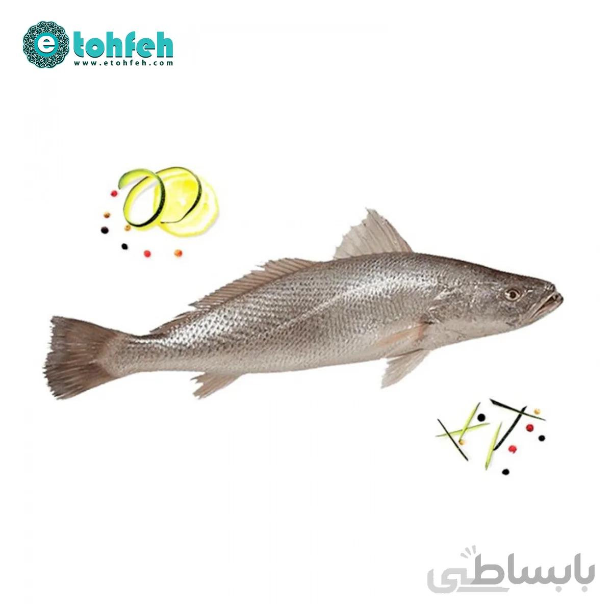 ماهی شوریده