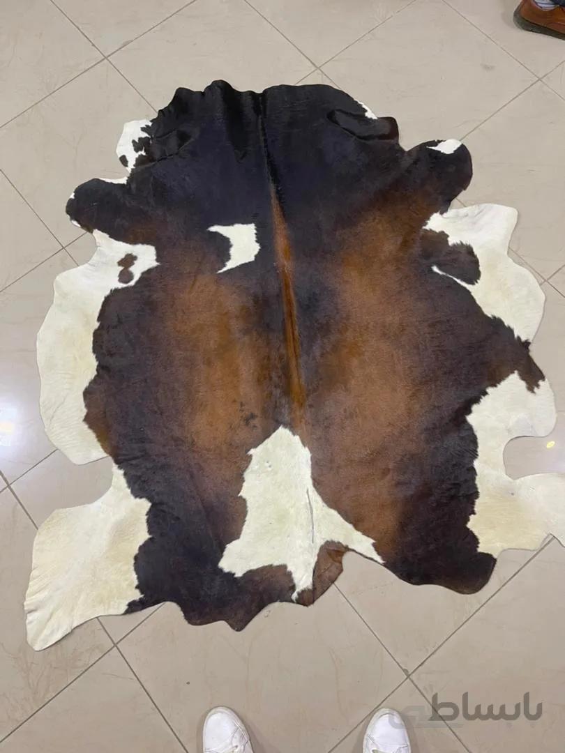 پوست طبیعی گاو تزنیِِینی 22 پایی ا cow skin