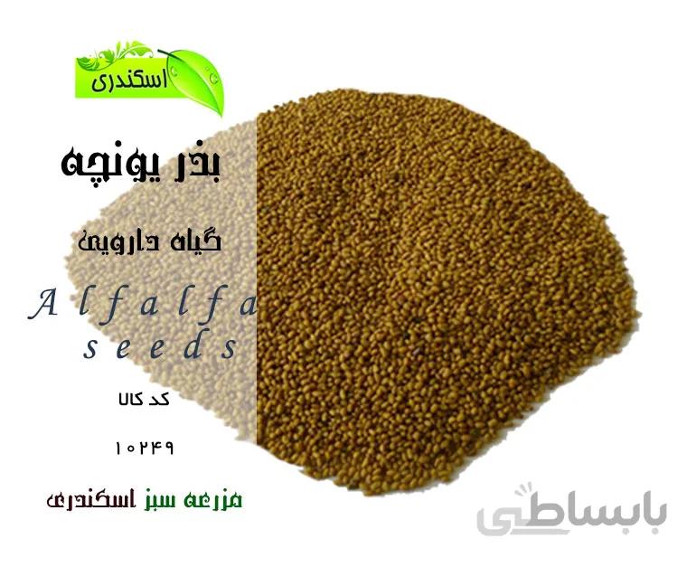 بذر یونجه
