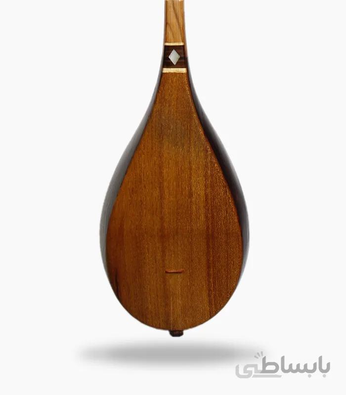 دو تار شجاعی شمال خراسان