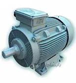 الکتروموتور سه فاز چدنی 1500 دور موتوژن 355kw
