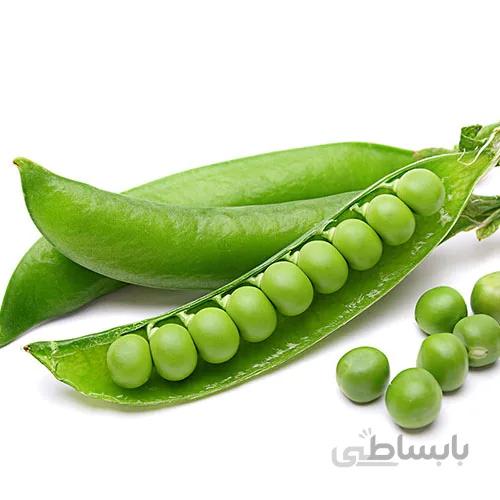 بذر نخود فرنگی کد 171343