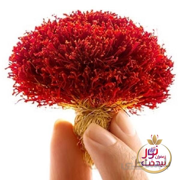 زعفران دسته یا دخترپیچ رضوان بیدخت 1 مثقال