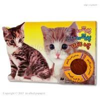 کتاب لمسی پیشی پیشی جان چه نازی