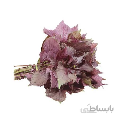 بذر نعنا شیسو دو رنگ