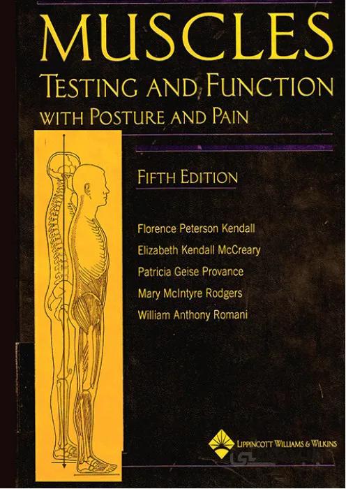 Muscles Testing and Function with Posture and Pain
