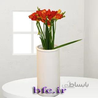 یک شاخه فرزیا