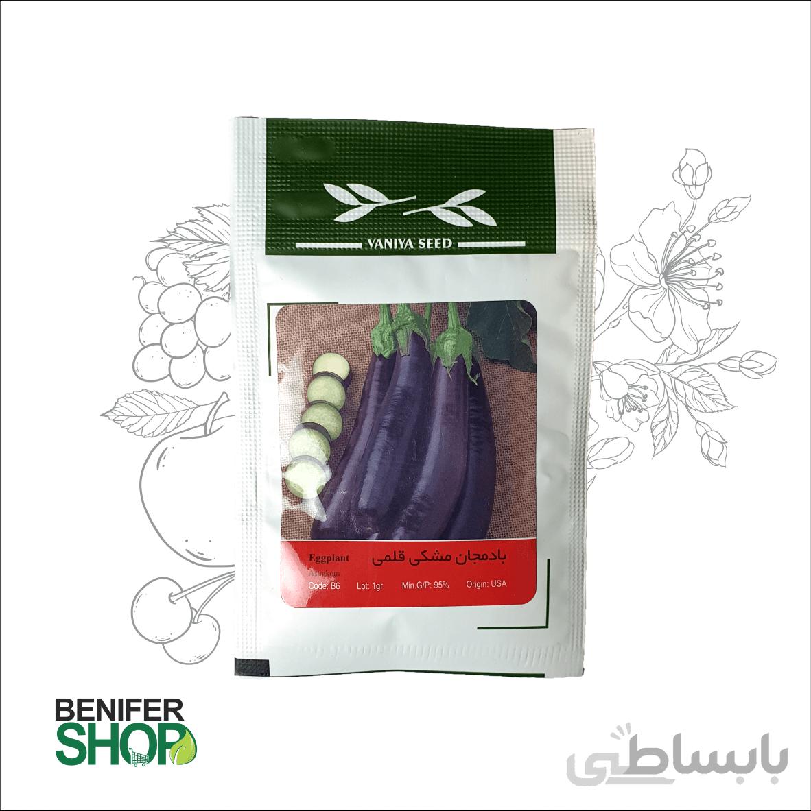 بذر خانگی بادمجان مشکی قلمی آذر سبزینه