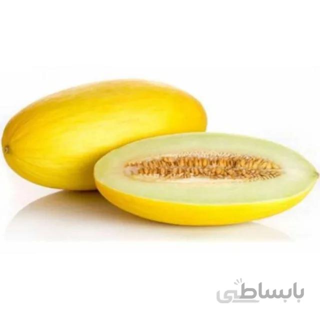 بذر خربزه بسته ۵ گرمی